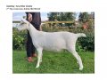 Goatling AOV 2nd Place Dalestone Dahlia-page-001