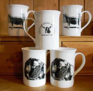 Fine China Mug Anglo Nubian