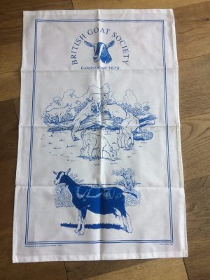 T-Towel (Blue)