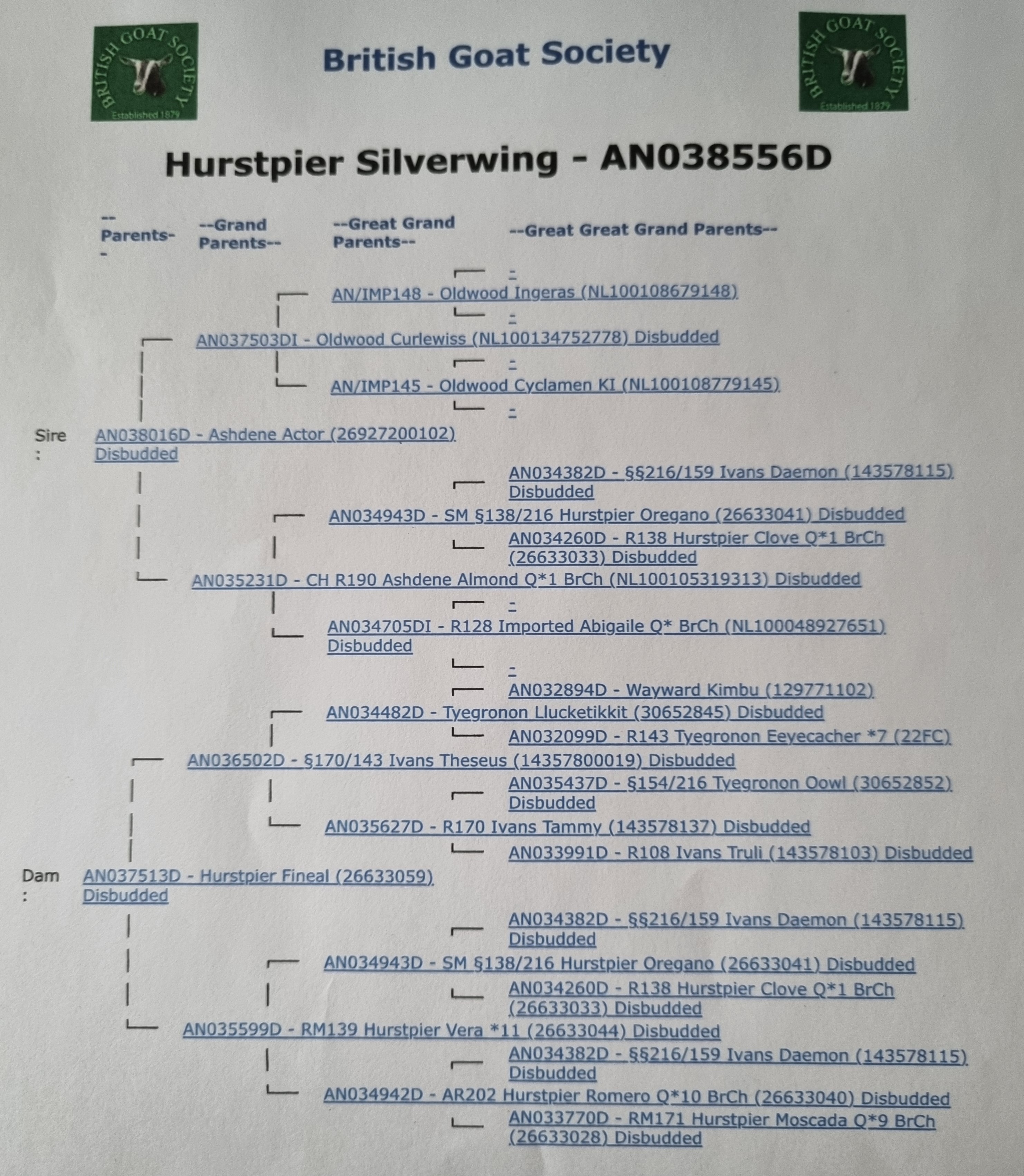 Photo 2 - Hurspier Silverwing image